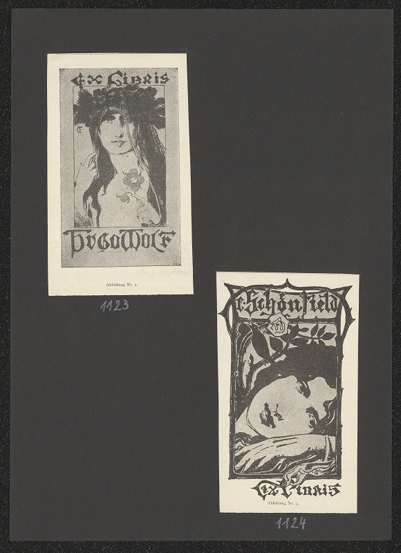 Fritz Erler – Hugo Wolf 