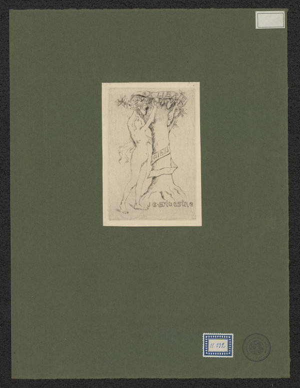 neznámý – Sylvestre J. E. 