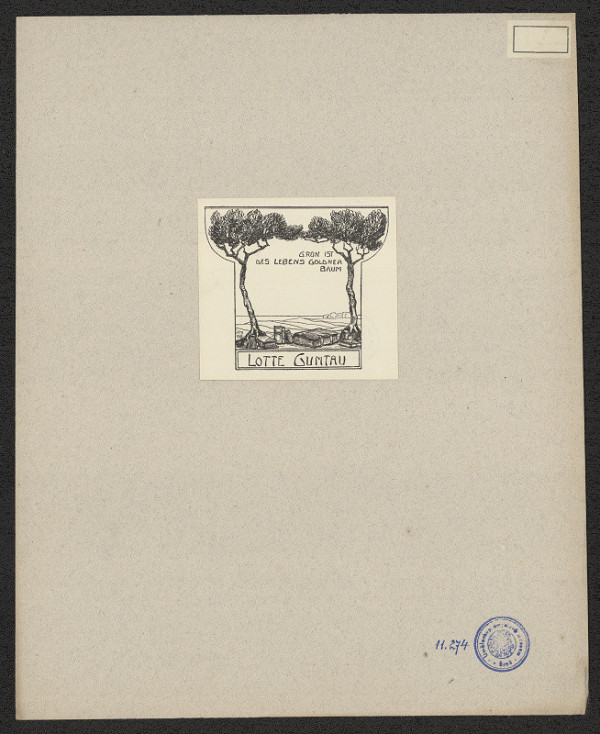 neznámý – Gumtau Lotte 