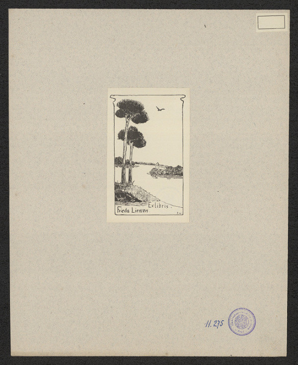 neznámý – Liewen Frieda 