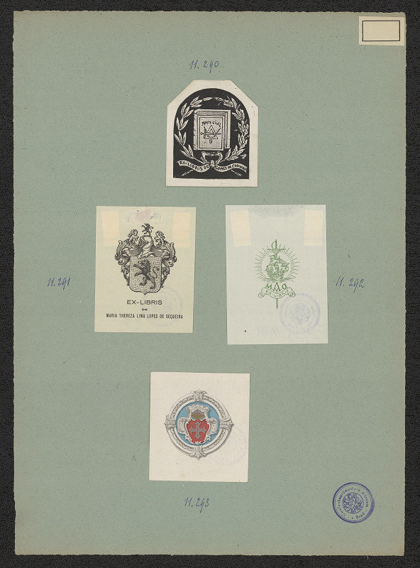 neznámý – Maria Thereza Lima Lopes de Segueira 