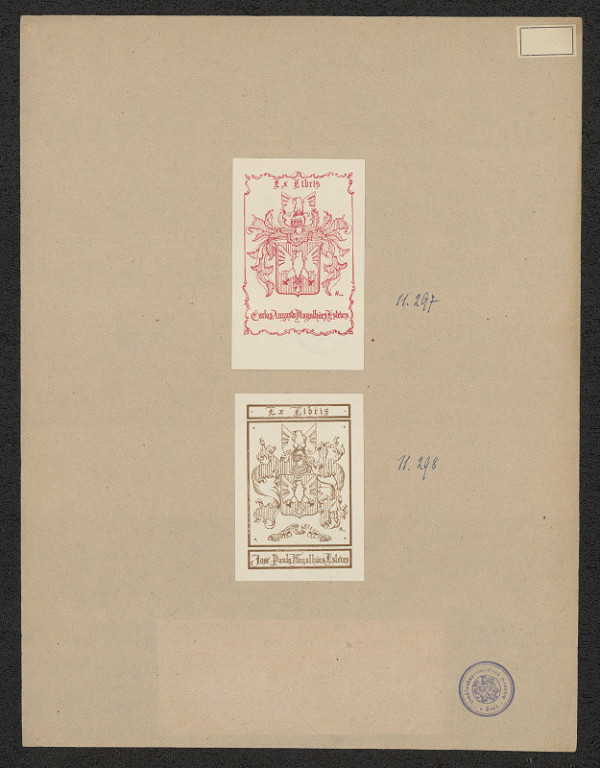 neznámý – Esteves Carlos Augusto Magalhaens 