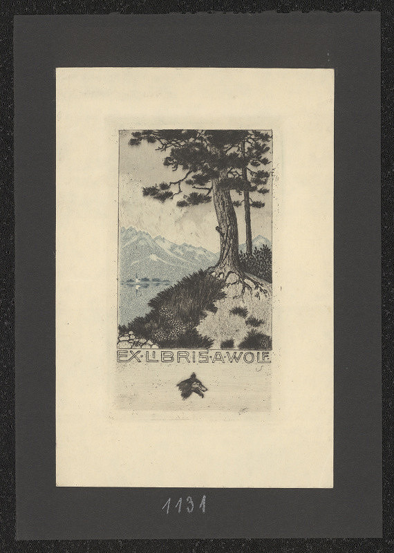 signatura C M – A. Wolf 