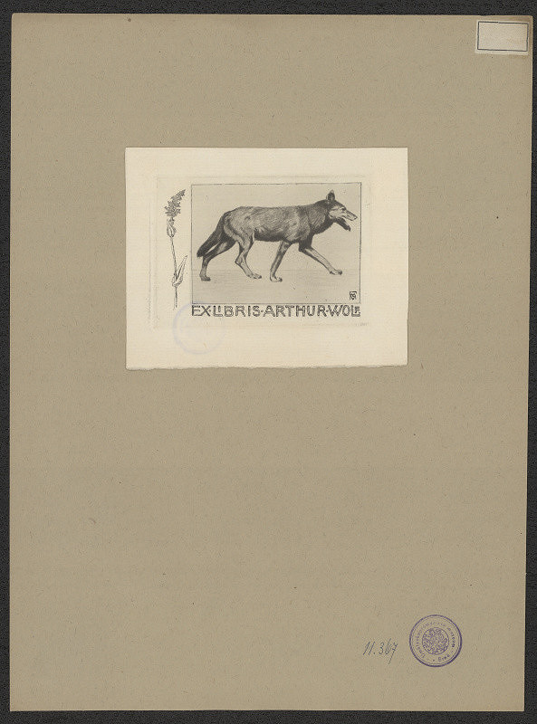 neznámý – Wolf Arthur 