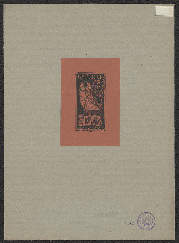 neznámý – Schur Ida 