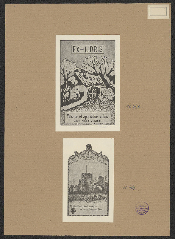 neznámý – José Pines junior, Lisboa, Portugal 