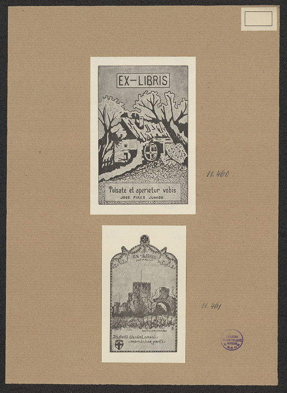 neznámý – José Pines junior, Lisboa, Portugal 