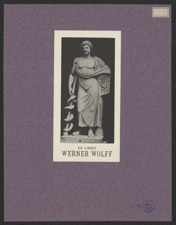 neznámý – Wolff Werner 