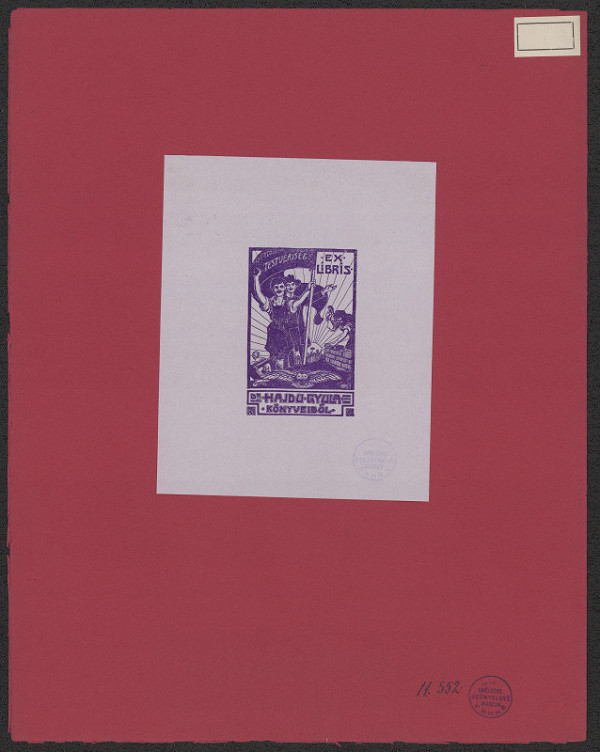 neznámý – Dr. Hajdu Gyula 