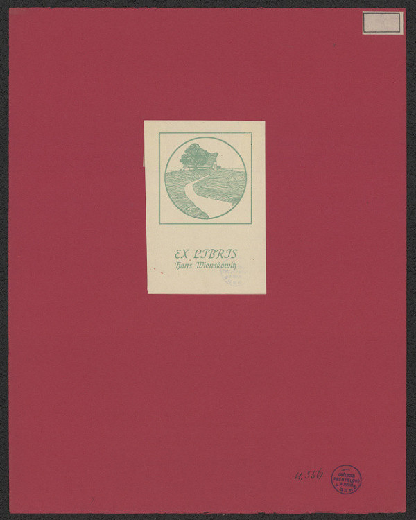 neznámý – Wienskowitz Hans 