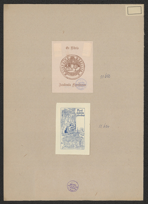 neznámý – Academia Figueirense 