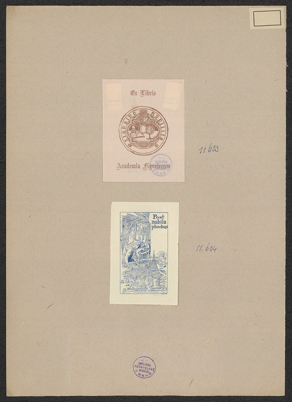 neznámý – Guerras Antonio Victor 