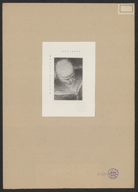 neznámý – Dr. Lustig István 