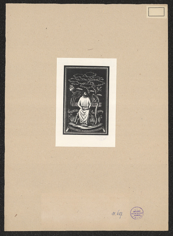 neznámý – Feniri Mansueto 