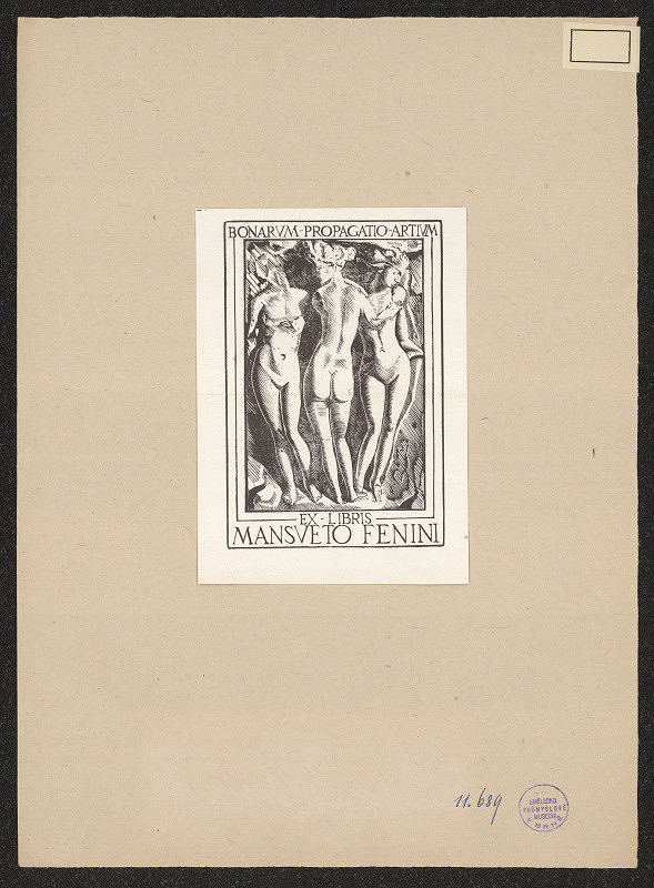 neznámý – Fenini Mansueto 