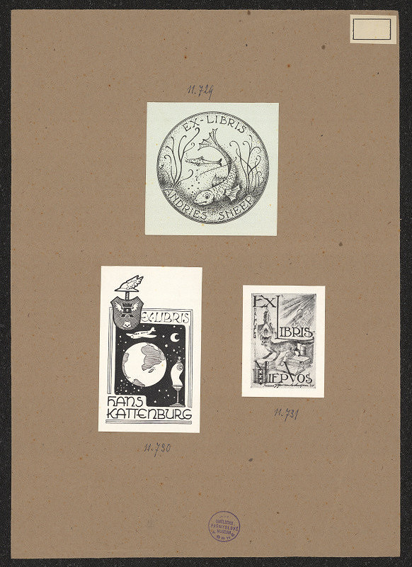 neznámý – Miep Vos 