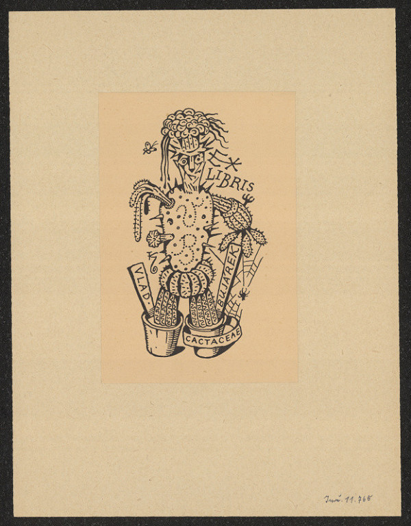 Jan Konůpek – Vlad. Bujárek 