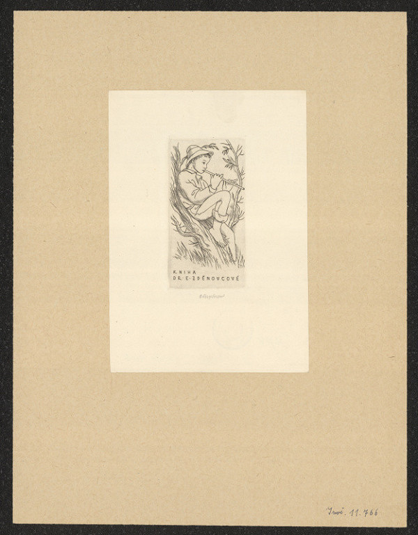 Vojtěch Cinybulk – Dr. E. Zděnovcová 