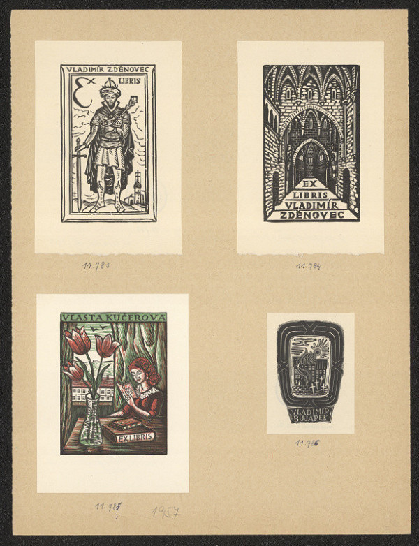 Marek Brudnicki – Bujárek Vlad. 