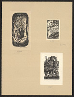 Pavel Šimon – Bujárková Růža 