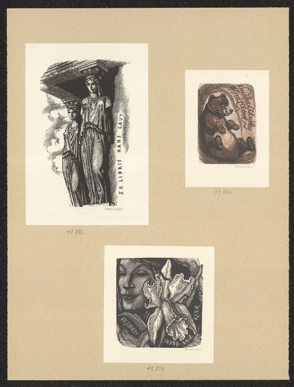 Vojtěch Cinybulk – Laut Hans 