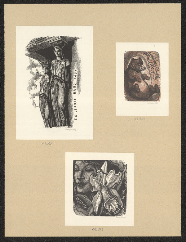 Vojtěch Cinybulk – Svend-Aage-Kjaer 