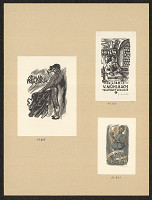 Jindřich Mahelka – Mühlbach V. 