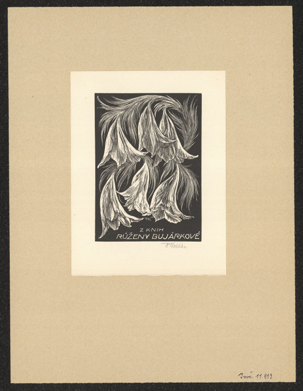 František Kobliha – Bujárková Růžena 