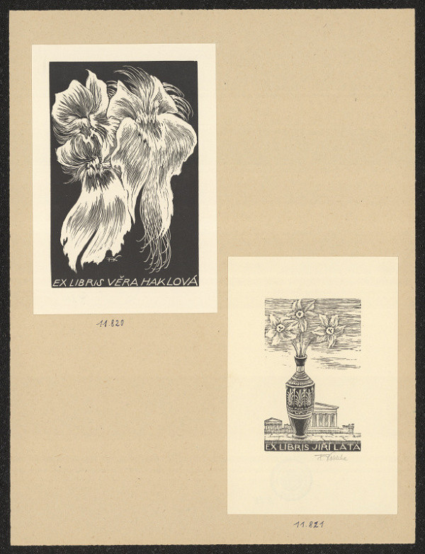 František Kobliha – Lata Jiří 