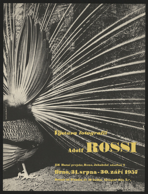 František Kalivoda – Fotografie Adolf Rossi, ZK, Hutní projekt Brno, Jakubské nám. 