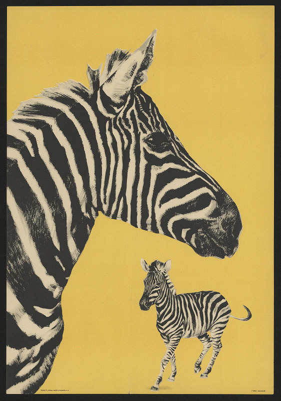 neznámý – Čs. cirkusy, varieté a lunaparky, n.p. 