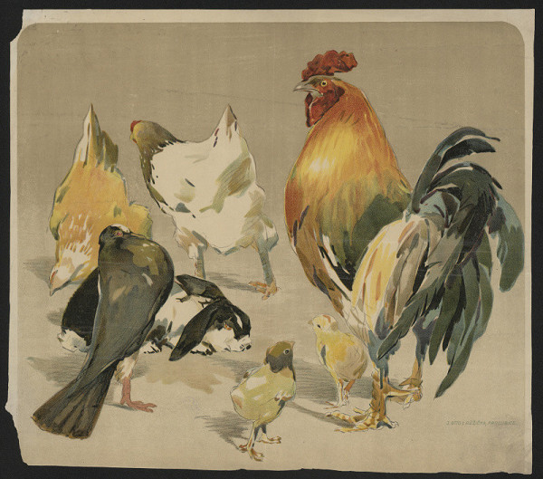 neznámý – (bez názvu) 