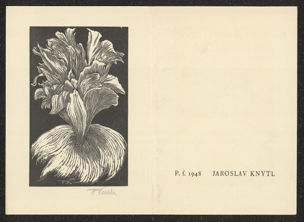 J. Kobliha – P.F. 1948 Jaroslava Knytl 