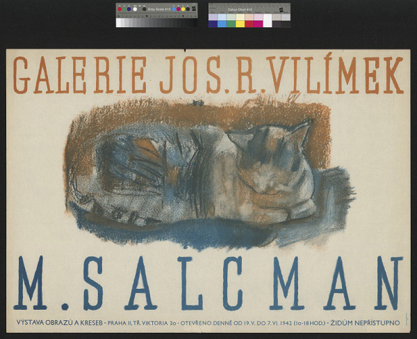 M. Salcman – M. Salcman 