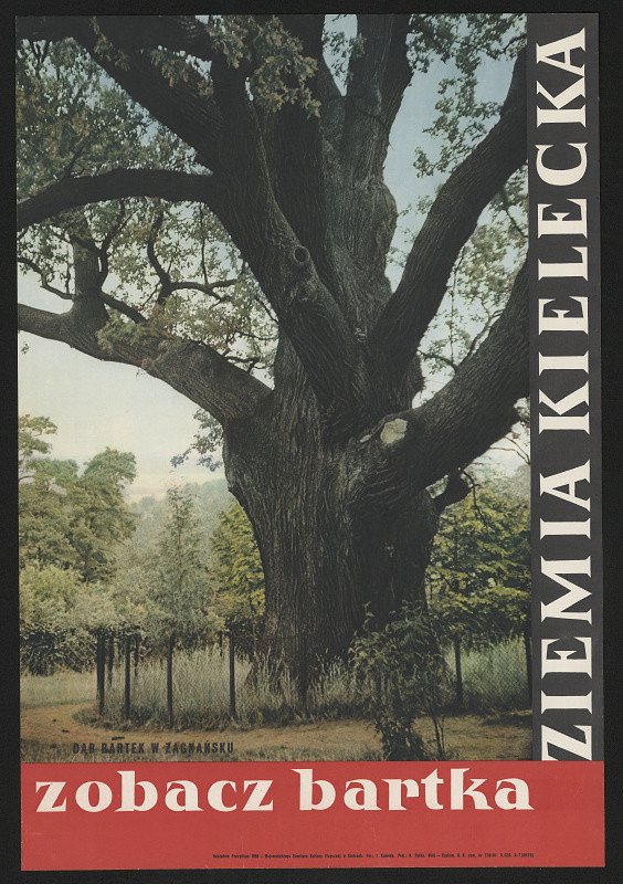 N. Putka – Ziemia Kielecka, zobarz bartka 