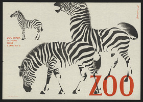 Eva Zoulová – ZOO Praha 