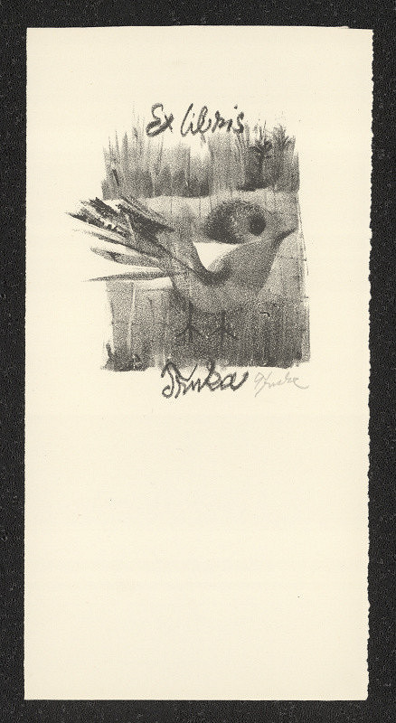 Jan Trnka – IPSE SIBI 