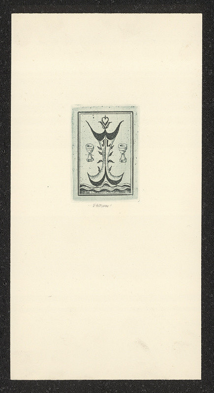 Ludmila Jiřincová – IPSE SIBI 