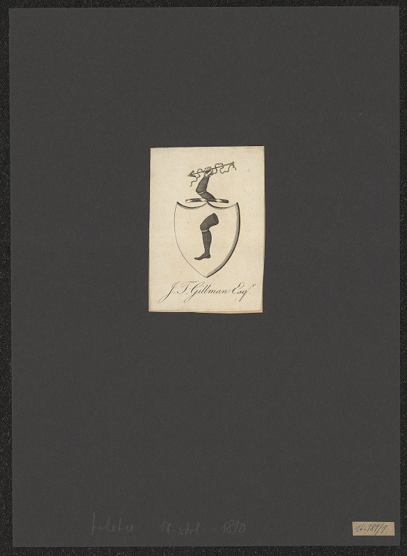 neznámý – Kolekce 13 ks ex libris typu "Wreatr and Ribbon" 