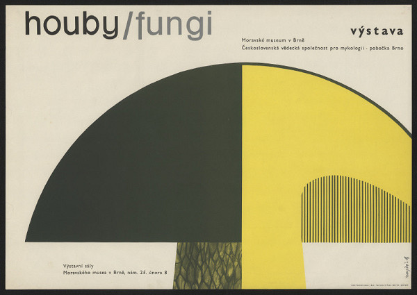 Jan Rajlich st. – Houby / Fungi 