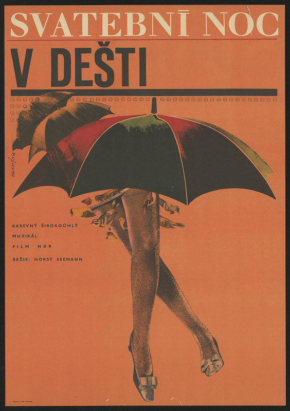 Zdeněk Ziegler – Svatební noc v dešti 