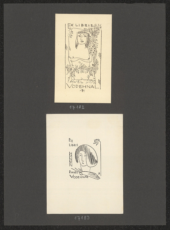 Jan Trampota – Pavel Vodehnal 