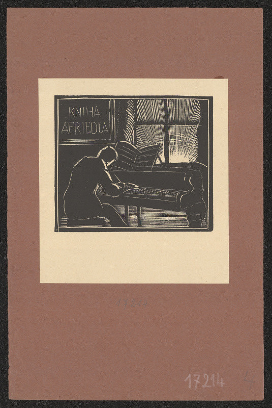 Helena Bochořáková-Dittrichová – Kniha A. Friedla 