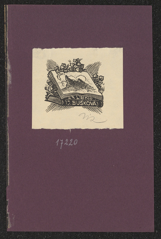 Karel Vik – Ex libris V. Bušková 