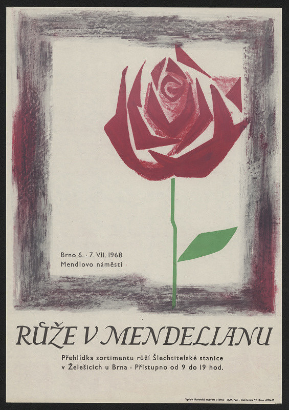 Vlasta Slaměnová – Růže v Mendelianu 