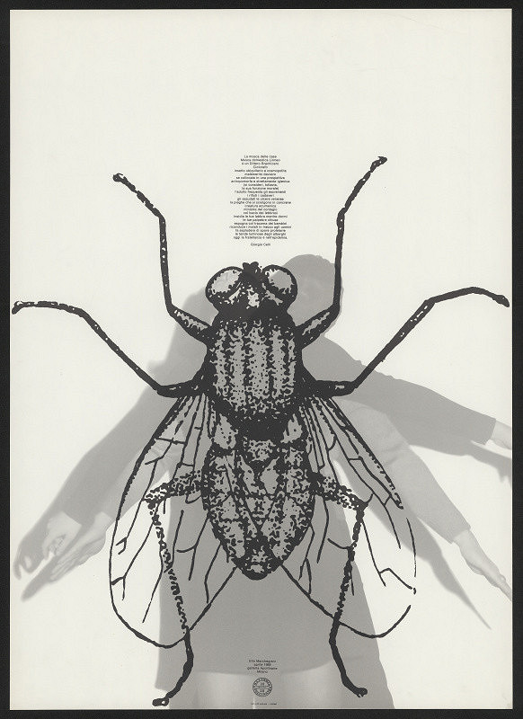 A. G. (Angiolo Giuseppe) Fronzoni – Elio Marchegiani 