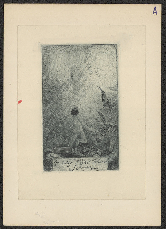 neznámý – Dr. Karel Johannes Schwarz 