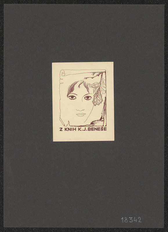 Toyen (Marie Čermínová) – Z knih K. J. Beneše 