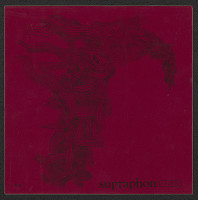 Petr Otradovec – bez názvu 