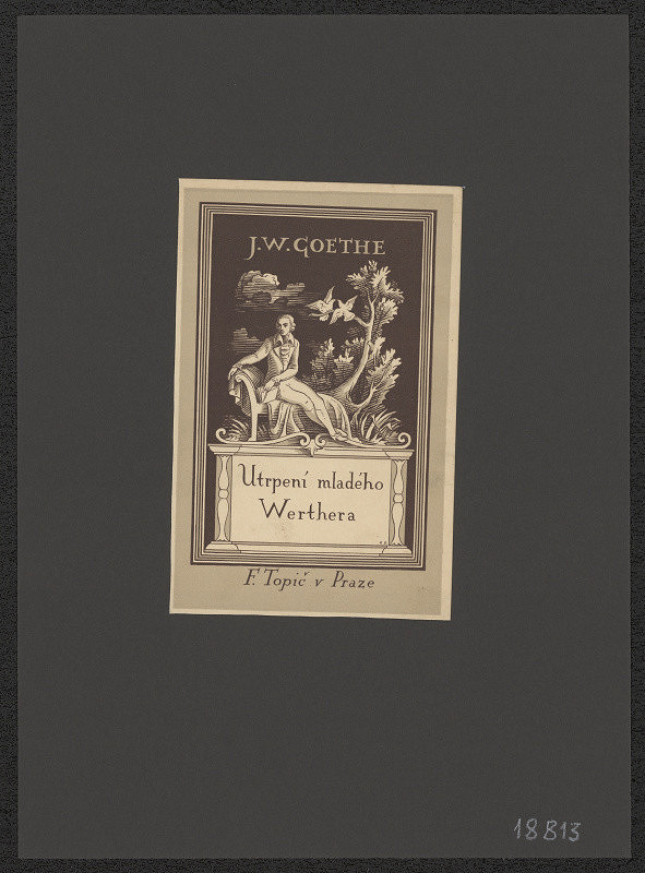 Petr Dillinger – Goethe - Utrpení mladého Werthera 